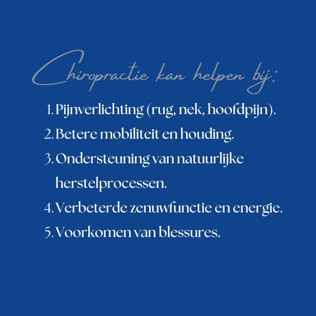 hans - Image 2